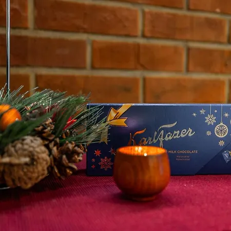 Διαμέρισμα Forest Mansion *